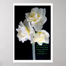 Search for jonquil posters Floral
