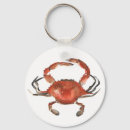 Search for shellfish key rings Sea life