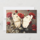 Search for white butterfly postcards Botanical