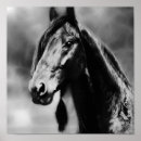 Search for apache art Horses