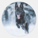Search for wolf lovers stickers Dog lover