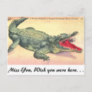 Search for danger postcards Florida