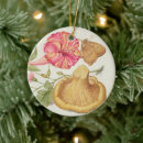 Search for insects christmas tree decorations Entomology