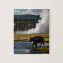 Search for yellowstone national park puzzles Geyser