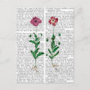 Search for italian postcards Italy