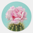 Search for cactus bloom stickers Garden