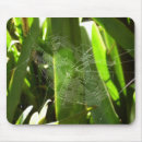 Search for spiderweb electronics Cobweb