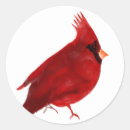 Search for rich stickers Nature