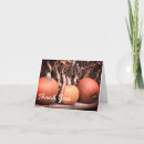 Search for stalking cards Pumpkin