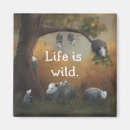 Search for wild life magnets Animals