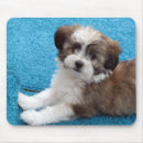Search for toy dog mousepads Puppies