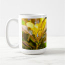 Search for weaver mugs Spider