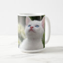 Search for domestic cats mugs Kitten