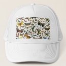 Search for moth hats Butterflies