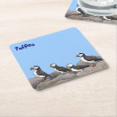 Search for puffin coasters Maine