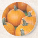 Search for squash home living Gourd
