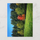 Search for ones postcards Nature