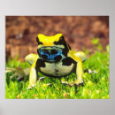 Search for arrow posters Yellow