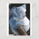 Search for furry postcards Sweet
