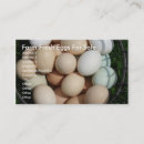 Search for egg basket Chicken