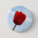 Search for red sky badges Nature