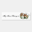 Search for cavalier bumper stickers Animal