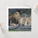 Search for mighty cards Big cat