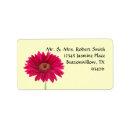 Search for gerberas labels Pink
