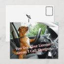 Search for congratulations drivers license Passed driving test