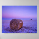 Search for farm art Sunset