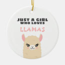 Search for llama decor Kawaii