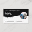Search for pet grooming appointment cards Modern