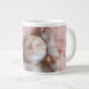 Search for orange kitten mugs Cat