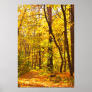 Search for beautiful forest posters Fall