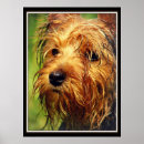 Search for terriers posters Pet