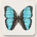 Search for nature lover coasters Whimsical