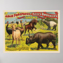 Search for forepaugh posters Chromolithograph