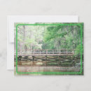 Search for vintage alligator postcards Swamp