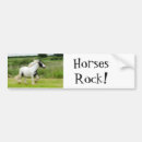 Search for pinto bumper stickers Paint horse