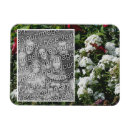 Search for phlox magnets Floral
