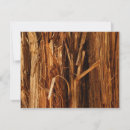Search for natural wood cards Tree