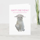 Search for pretty kitty cards Cats