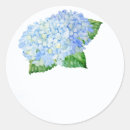 Search for blue hydrangeas wedding stickers Flowers