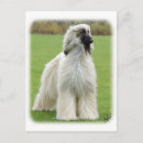Search for afghans cards invites Animal