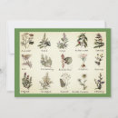 Search for herb invitations Dill