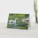 Search for swan birthday cards Photography