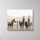 Search for barb wire canvas prints Ranch