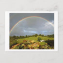 Search for funny clothing postcards Blue