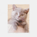 Search for one photo blankets Cute animals