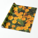 Search for marigold wrapping paper Flowers